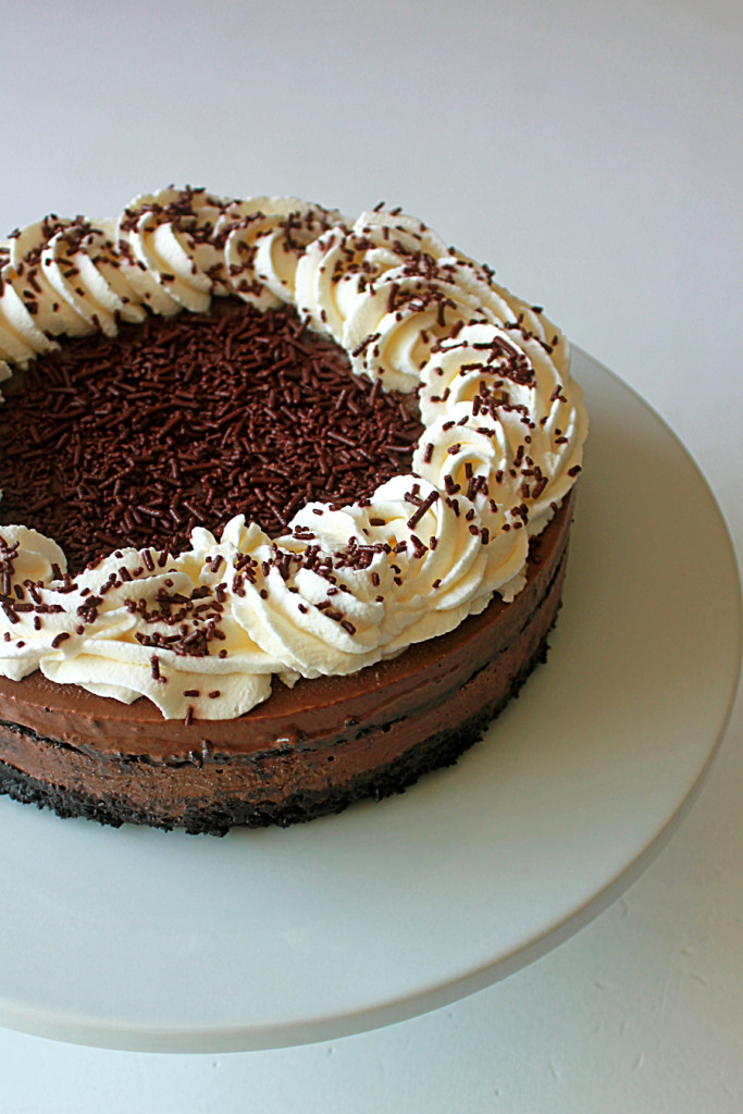 Double Chocolate Ice Cream Cake - Oh Sweet Day! Blog