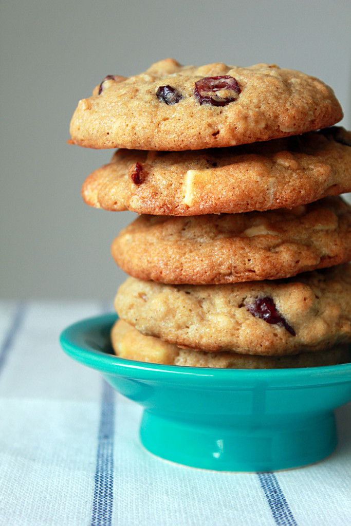 dried cranberry white chocolate spice cookie