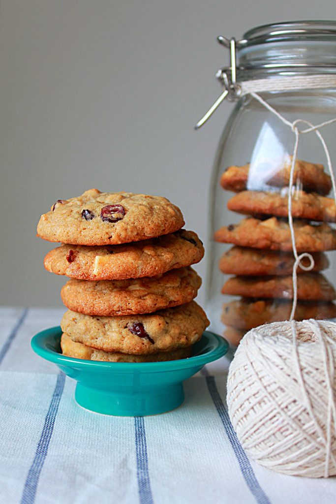 dried cranberry white chocolate spice cookie